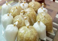 Ngày bán 2 tạ chè bưởi, cô sinh viên thu nhanh 9 triệu đồng