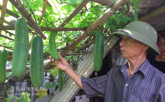 thuc pham giai nhiet hut khach ngay nang nong