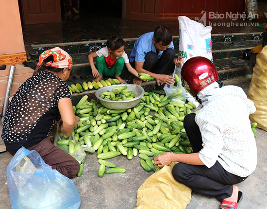 thuc pham giai nhiet hut khach ngay nang nong