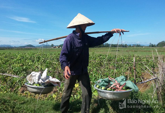 thuc pham giai nhiet hut khach ngay nang nong