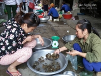 10 loai thuc pham thai doc gan hieu qua mua he