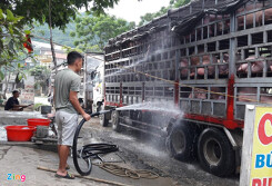 Thịt heo mỗi ngày tăng một giá, Bộ Công Thương nói gì?