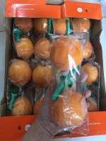 chanh leo giup dieu tri benh tieu duong phong ngua viem khop
