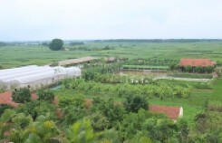 Những 'bất thường' tại đại hội bất thường FLC